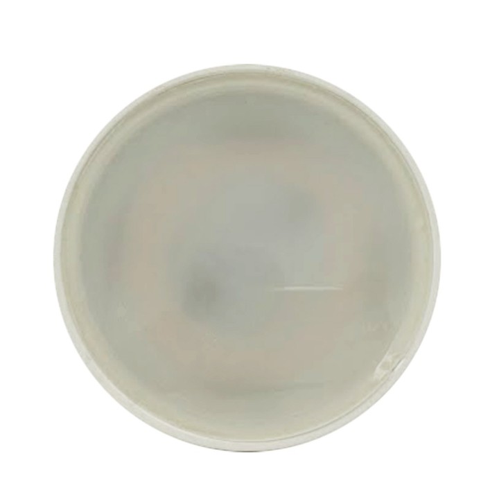 Krisane - Ampoule LED GU10 - 7W - 3000K - 120° - Réf : KRI25573