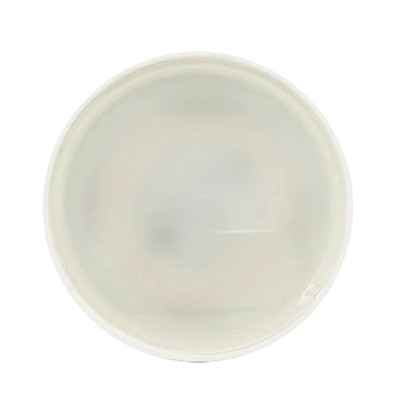 Krisane - Ampoule LED GU10 - 5W - 4000K - 120°- Réf : KRI25554