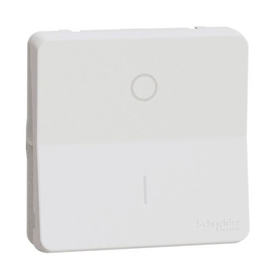 Schneider Electric - Mureva Styl - Interrupteur bipolaire - composable - IP55 - IK08 - blanc - Réf : MUR39033