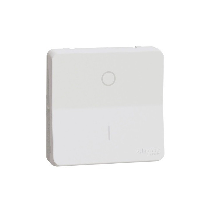 Schneider Electric - Mureva Styl - Interrupteur bipolaire - composable - IP55 - IK08 - blanc - Réf : MUR39033