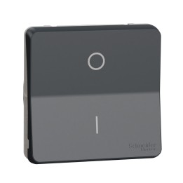 Schneider Electric - Mureva Styl - Interrupt bipolaire - composable - IP55 IK08 - connex auto - gris - Réf : MUR35034
