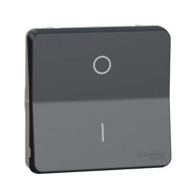 Schneider Electric - Mureva Styl - Interrupt bipolaire - composable - IP55 IK08 - connex auto - gris - Réf : MUR35034