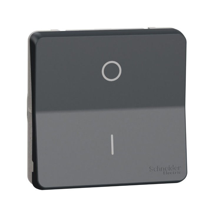 Schneider Electric - Mureva Styl - Interrupt bipolaire - composable - IP55 IK08 - connex auto - gris - Réf : MUR35034
