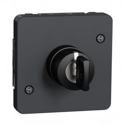 Schneider Electric - Mureva Styl - Interrupteur à clé 3 positions - composable - IP55 - IK08 - gris - Réf : MUR35061