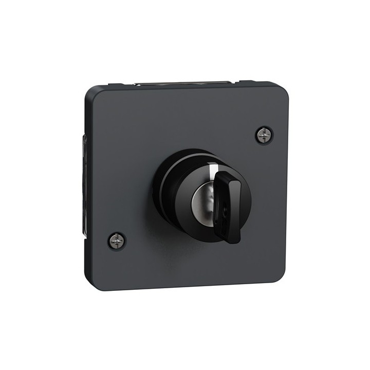 Schneider Electric - Mureva Styl - Interrupteur à clé 3 positions - composable - IP55 - IK08 - gris - Réf : MUR35061