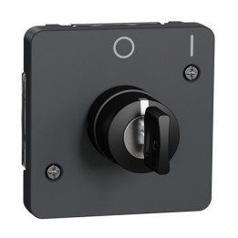 Schneider Electric - Mureva Styl - Interrupteur à clé 2 positions - composable - IP55 - IK08 - gris - Réf : MUR35062