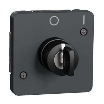 Schneider Electric - Mureva Styl - Interrupteur à clé 2 positions - composable - IP55 - IK08 - gris - Réf : MUR35062