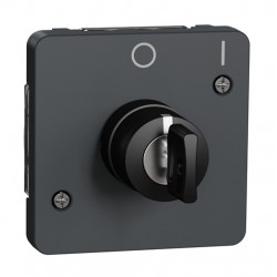 Schneider Electric - Mureva Styl - Interrupteur à clé 2 positions - composable - IP55 - IK08 - gris - Réf : MUR35062