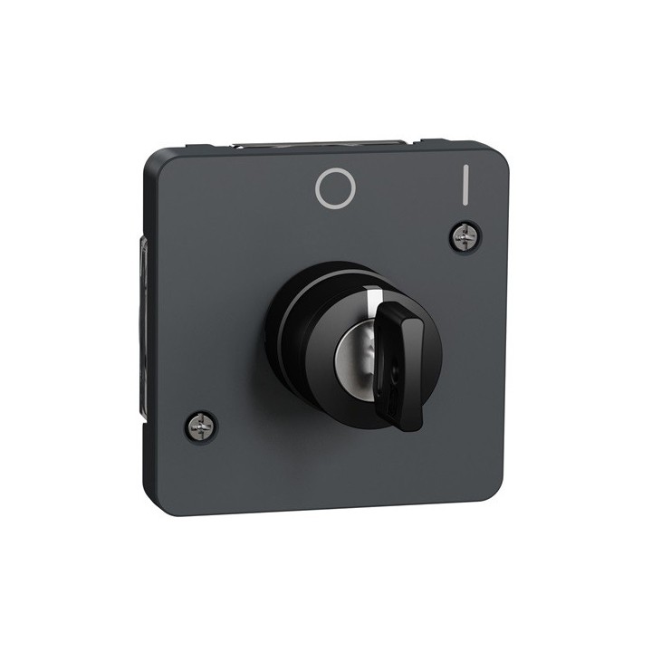 Schneider Electric - Mureva Styl - Interrupteur à clé 2 positions - composable - IP55 - IK08 - gris - Réf : MUR35062