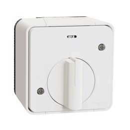 Schneider Electric - Mureva Styl - Interrupteur temporisé LED - saillie - IP55 - IK08 - blanc - Réf : MUR39067