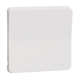 Schneider Electric - Mureva Styl - Enjoliveur avec symbôle lumière - IP55 - IK08 - blanc - Réf : MUR39202