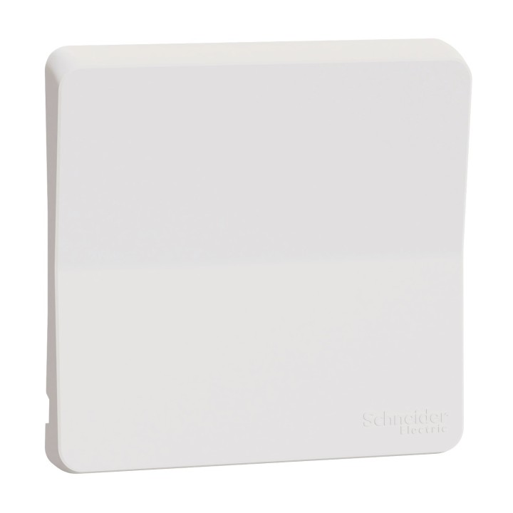 Schneider Electric - Mureva Styl - Enjoliveur avec symbôle lumière - IP55 - IK08 - blanc - Réf : MUR39202