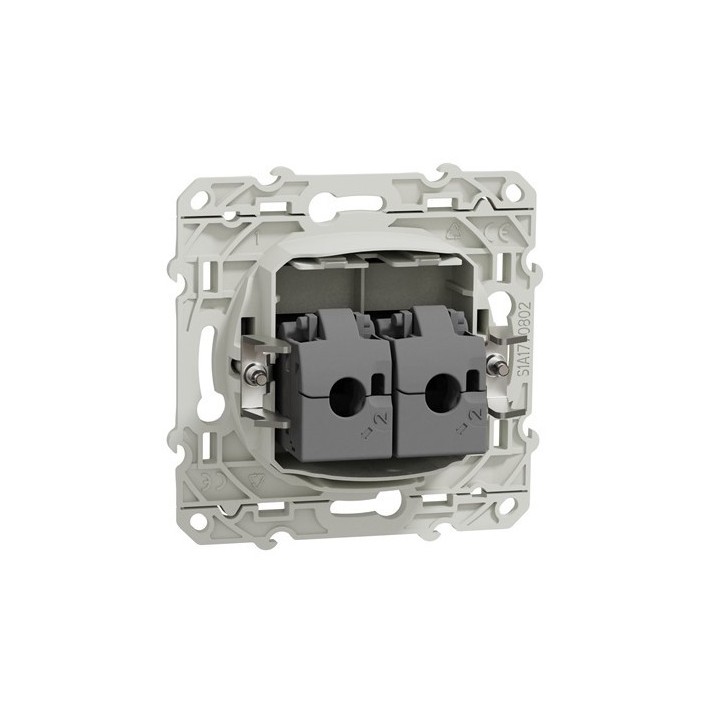 Schneider Odace - Prise double RJ45 cat.6 STP - Grade 2TV min à grade 3TV - Anthracite - Réf : S540486