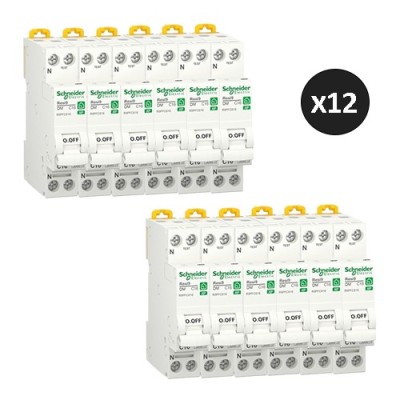 Schneider - Resi9 XP - Lot de 12 disjoncteurs modulaires - 1P+N - 16A - courbe C - peignable - Réf : R9PFC616(12)