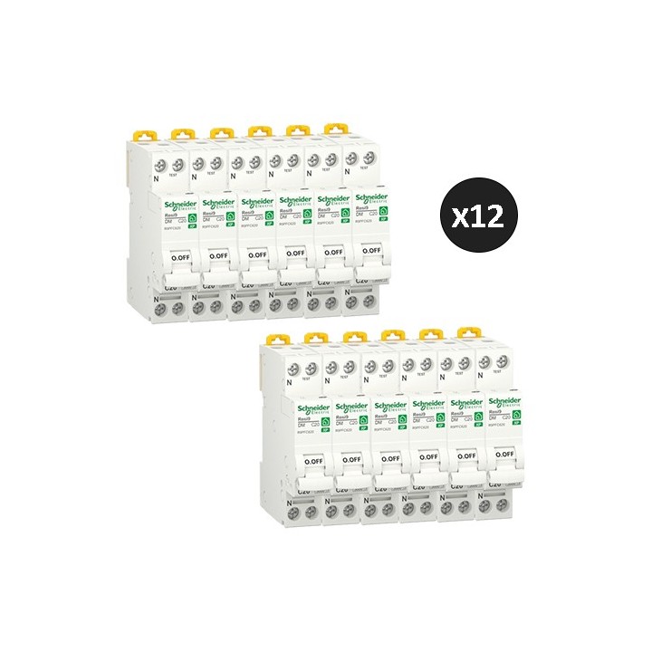 Schneider - Resi9 XP - Lot de 12 disjoncteurs modulaires - 1P+N - 20A - courbe C - peignable - Réf : R9PFC620(12)