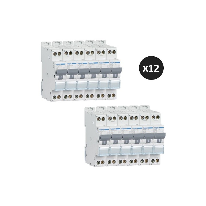 Hager - Lot de 12 disjoncteurs monophasés 1P+N 3kA C 16A à Vis - Réf : MFN716(12)