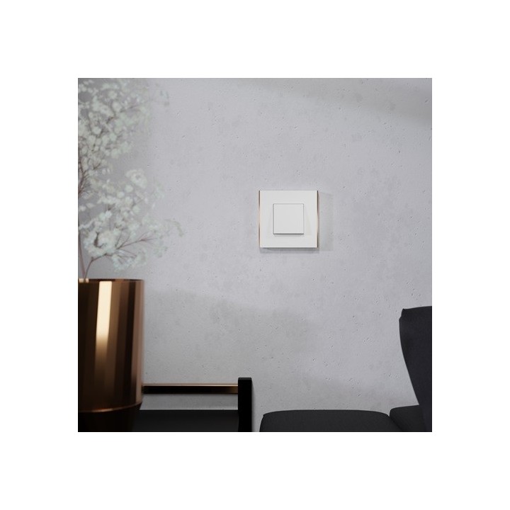 Schneider - Unica Déco - Plaque de finition - Blanc liseré cuivre - 1P - Réf : NU600242