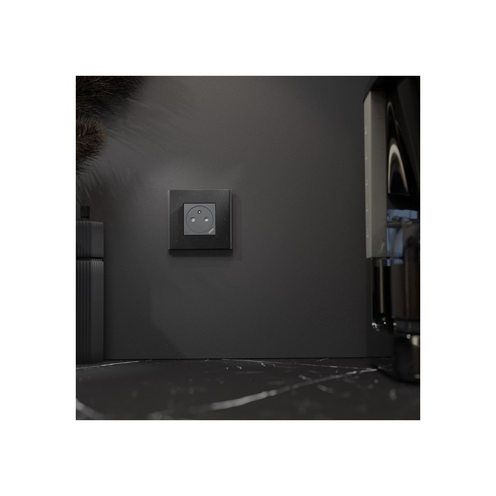 Schneider - Unica Déco - Plaque finition recyclée - Noir nuancé - 1P - Réf : NU600274