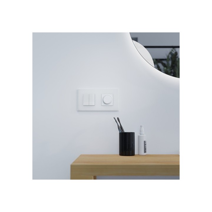 Schneider - Unica Déco - Plaque de finition - Blanc neige - 2P horiz vert - Réf : NU600479