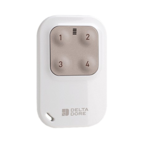 Delta Dore - Télécommande porte-clé radio 4 voies pour automatismes Tyxia 1410 - Réf : 6351389