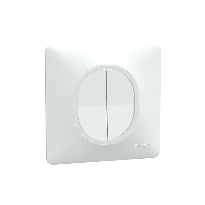 Schneider Ovalis - Interrupteur va et vient + poussoir complet blanc - Réf : S320285-P