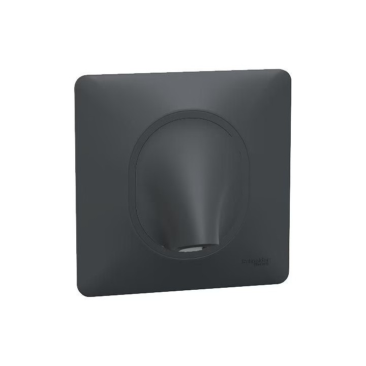 Schneider Ovalis - Sortie de câble complet anthracite - Réf : S340662-P