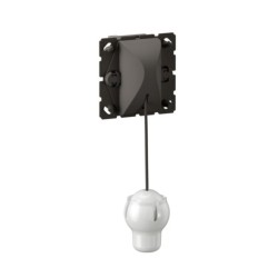 Legrand Mosaic - Interrupteur ou va-et-vient à tirage - 10 AX 250V~ - Réf: CM0008