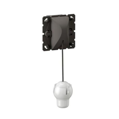 Legrand Mosaic - Interrupteur ou va-et-vient à tirage - 10 AX 250V~ - Réf: CM0008