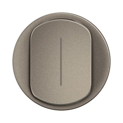 Legrand Céliane - Enjoliveur pour permutateur 10A à voyant - Titanium - Réf : CT1005