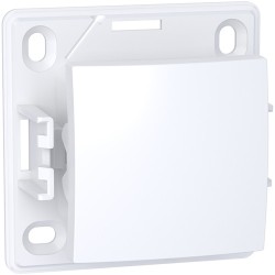 Schneider Alréa - Poussoir à fermeture - Blanc polaire - 10A à 250 V CA - Réf : ALB61053P