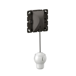 Legrand Céliane - Poussoir à tirage contact NO-NF Céliane - 6A 250V - Réf : CM0034