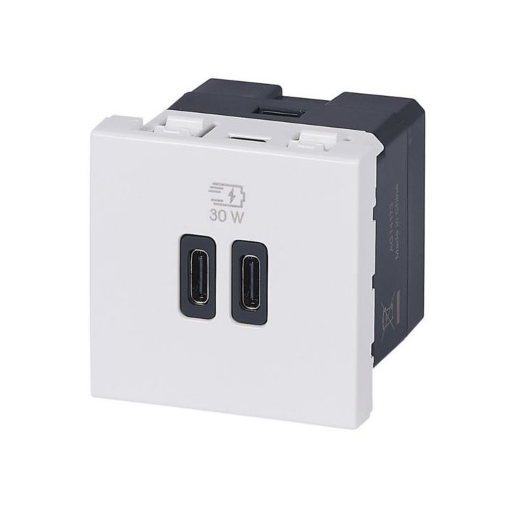 Legrand Mosaic - Prise double USB Mosaic Type-C + Type-C - Power Delivery 3A - 30W - Blanc - Réf : 077631L