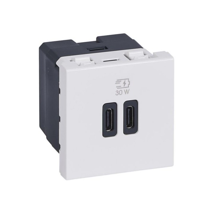 Legrand Mosaic - Prise double USB Mosaic Type-C + Type-C - Power Delivery 3A - 30W - Blanc - Réf : 077631L