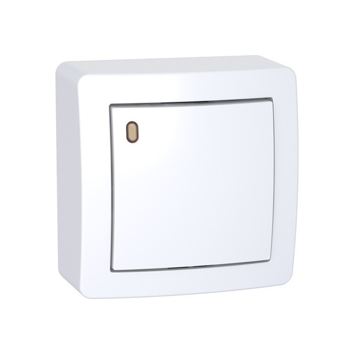 Schneider - Va-et-vient lumineux forte luminosité avec cadre saillie - Blanc polaire - Réf : ALB62057P
