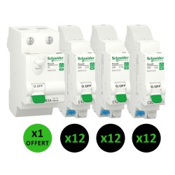 Schneider - ProBox Rési9 XE - 3 x 12 disjoncteurs de 10A - 16A - 20A - Courbe C embrochable + 1 Inter diff AC 63A