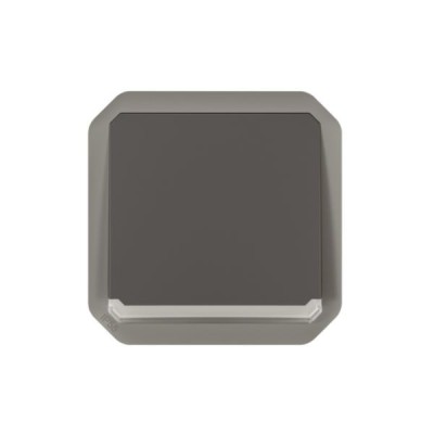 Legrand - Poussoir NO lumineux avec voyant étanche Plexo 10A 250V IP55 composable anthracite - Réf : 069813L