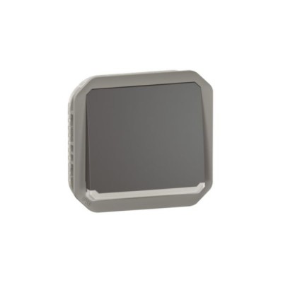 Legrand - Poussoir NO lumineux avec voyant étanche Plexo 10A 250V IP55 composable anthracite - Réf : 069813L