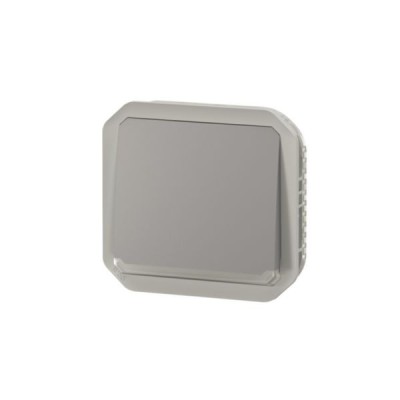 Legrand - Poussoir NO lumineux avec voyant étanche Plexo 10A 250V IP55 composable gris - Réf : 069542L