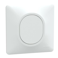 Schneider Ovalis - Obturateur complet blanc - Réf : S320666-P