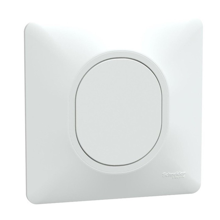 Schneider Ovalis - Obturateur complet blanc - Réf : S320666-P