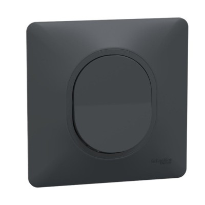 Schneider Ovalis - Bouton poussoir complet anthracite - Réf : S340206-P