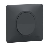 Schneider Ovalis - Bouton poussoir complet anthracite - Réf : S340206-P