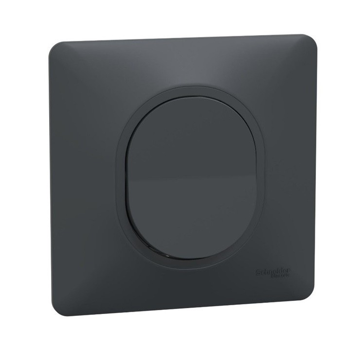 Schneider Ovalis - Bouton poussoir complet anthracite - Réf : S340206-P