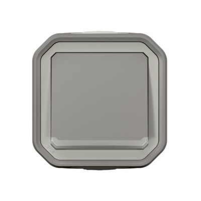 Legrand - Interrupteur ou va-et-vient témoin avec voyant Plexo 10A 250V IP55 - complet saillie - gris - Réf : 069712L