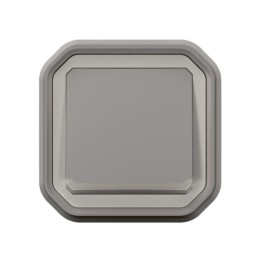 Legrand - Poussoir NO lumineux avec voyant Plexo 10A IP55 livré complet pour fixation en encastré - gris - Réf : 069832L