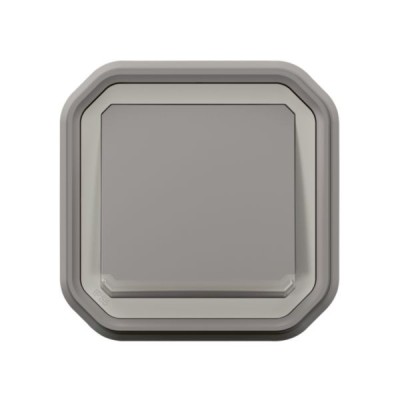 Legrand - Poussoir NO lumineux avec voyant Plexo 10A IP55 livré complet pour fixation en encastré - gris - Réf : 069832L