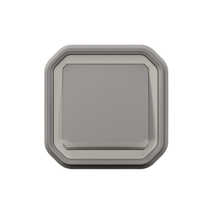 Legrand - Poussoir NO lumineux avec voyant Plexo 10A IP55 livré complet pour fixation en encastré - gris - Réf : 069832L