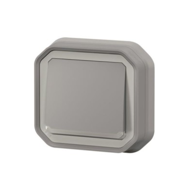 Legrand - Poussoir NO lumineux avec voyant Plexo 10A IP55 livré complet pour fixation en encastré - gris - Réf : 069832L