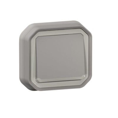 Legrand - Poussoir NO lumineux avec voyant Plexo 10A IP55 livré complet pour fixation en encastré - gris - Réf : 069832L