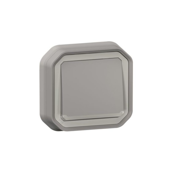 Legrand - Poussoir NO lumineux avec voyant Plexo 10A IP55 livré complet pour fixation en encastré - gris - Réf : 069832L